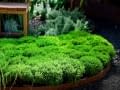 RossU Design - garden edging | Metal Garden Edging | lawn edging | landscape edging | garden design