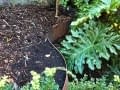 creative_garden_beds_and_steps_in_any_shape_you_desire4 - garden edging | Metal Garden Edging | lawn edging | landscape edging | garden design