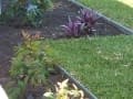 domestic-garden_3_straight-garden-edging-for-lawn-barriers-turf-seperation-3
